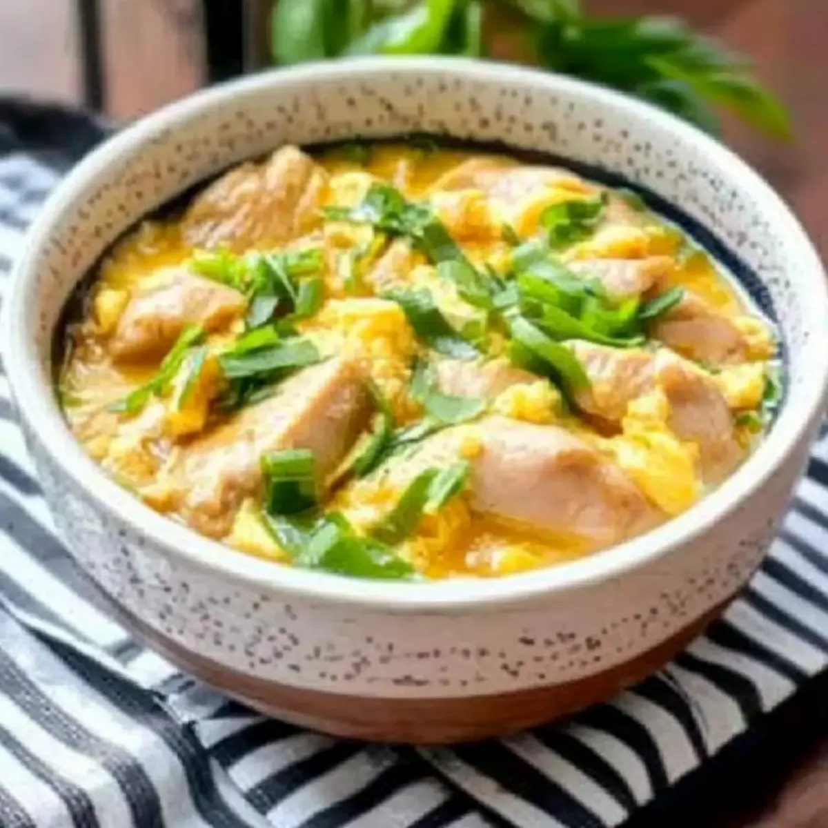 Savory Japanese Chicken & Egg Rice Bowl for Cozy Nights 2 unnamed file 74